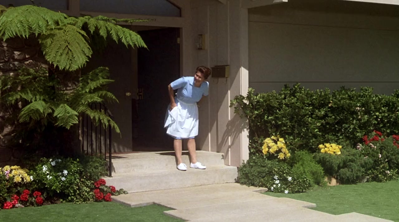 The Brady Bunch Movie screenshot 1