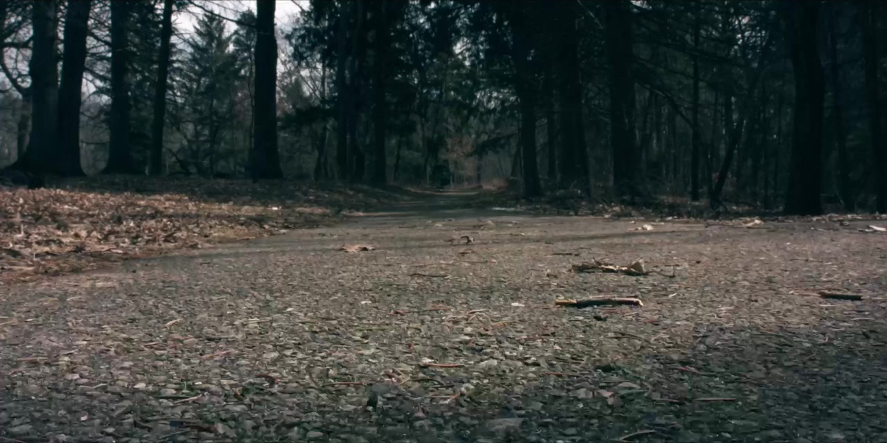 The Bray Road Beast screenshot 2