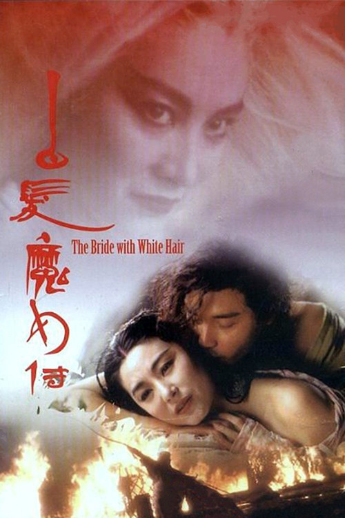 Bak fat moh lui zyun (1993) poster