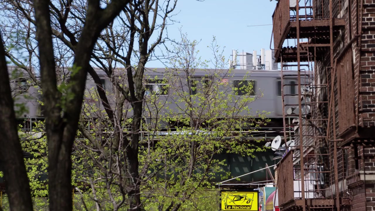 The Bronx, USA screenshot 2