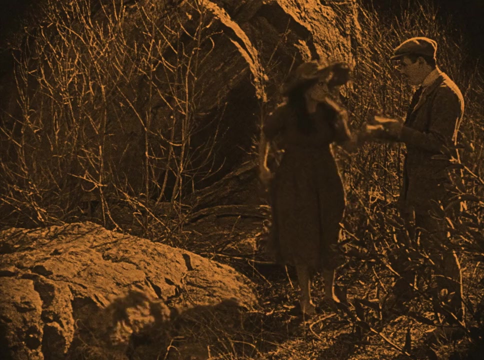 The Broken Butterfly screenshot 1