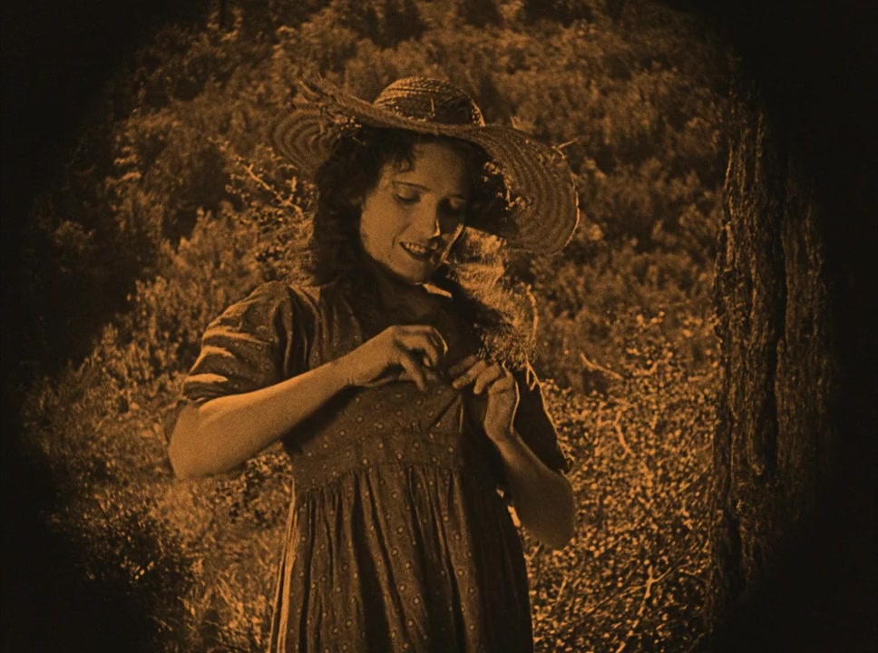 The Broken Butterfly screenshot 3