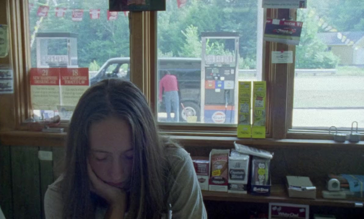 The Brown Bunny screenshot 3