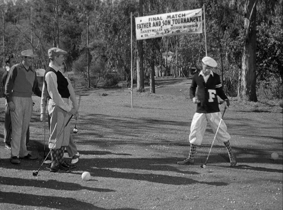 The Caddy screenshot 1