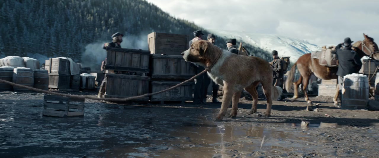 The Call of the Wild screenshot 2