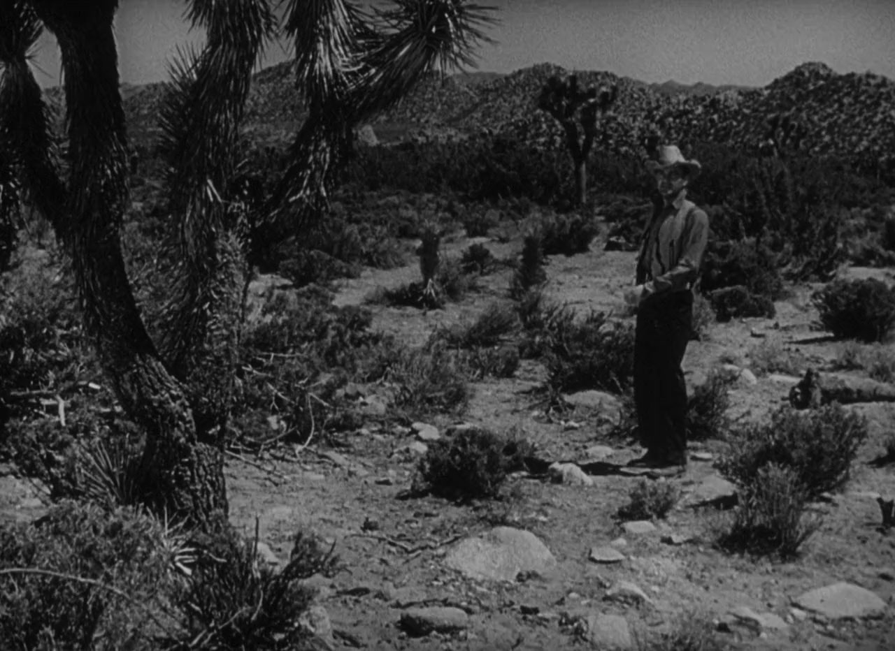 The Capture screenshot 1