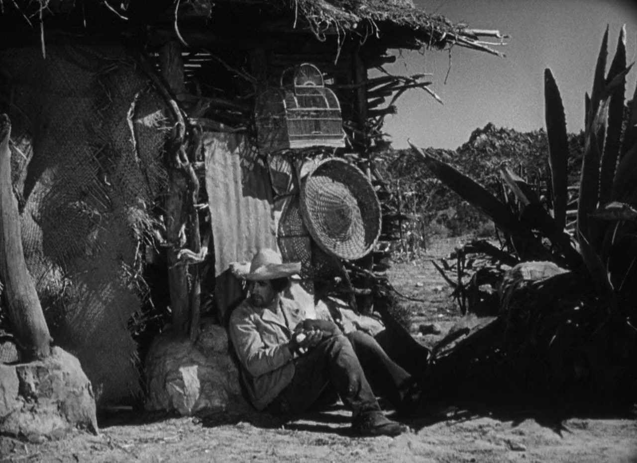 The Capture screenshot 2