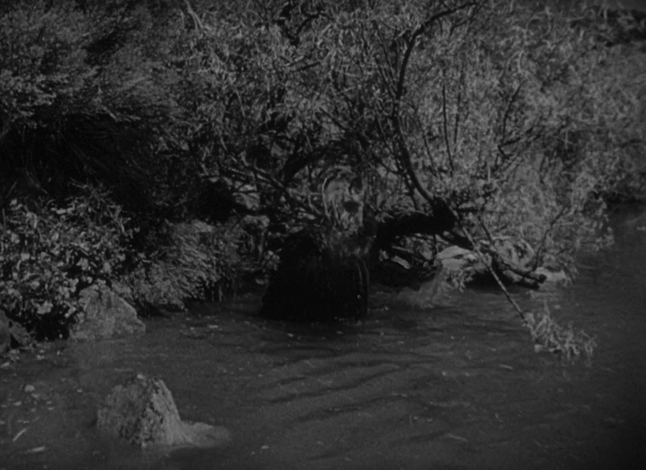 The Capture screenshot 3