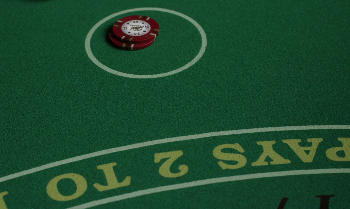 The Card Counter screenshot 3