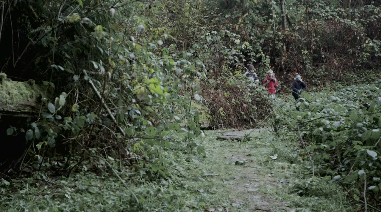 The Carpenter's Miracle screenshot 1