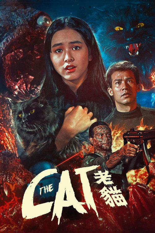 Lo mau (1991) poster