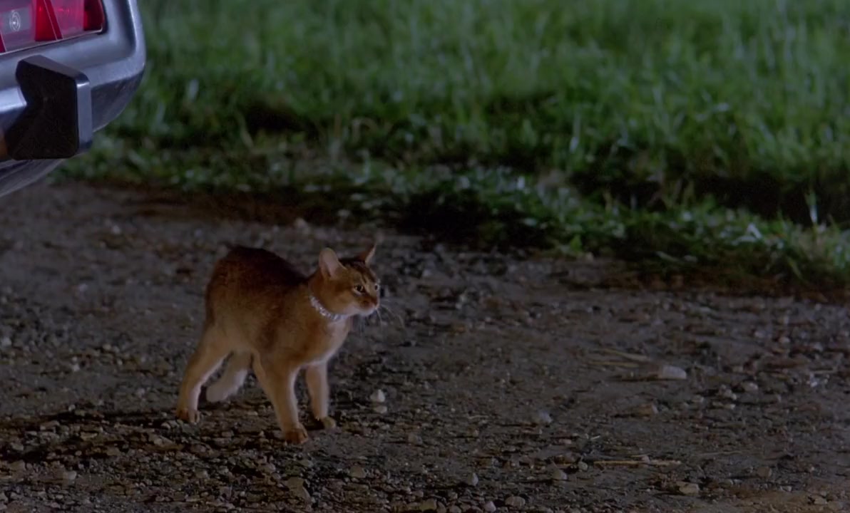 The Cat from Outer Space screenshot 3