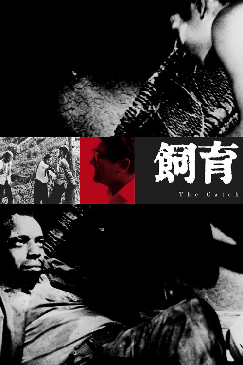Shiiku (1961) poster