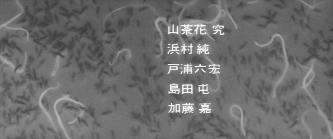 Shiiku screenshot 3