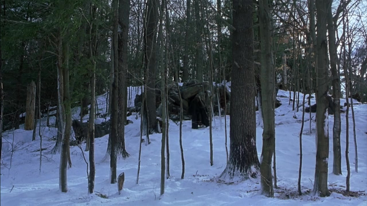 The Caveman's Valentine screenshot 1