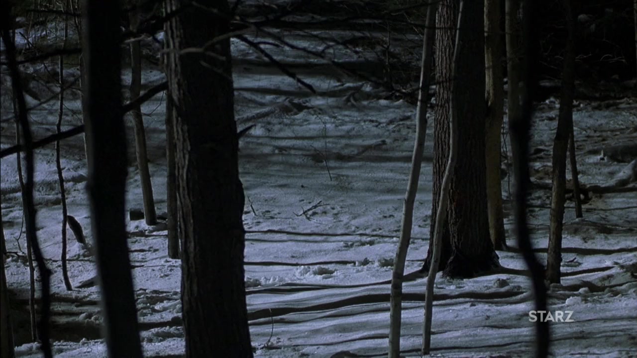 The Caveman's Valentine screenshot 2