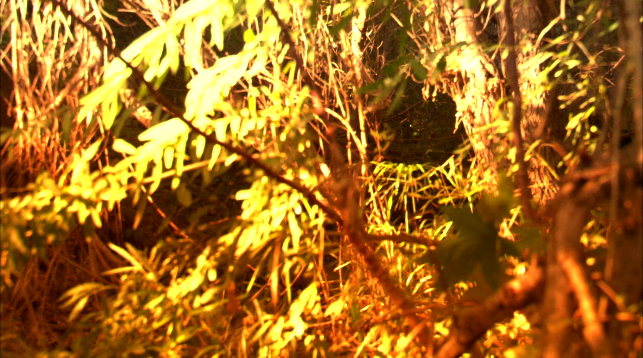 Within screenshot 1