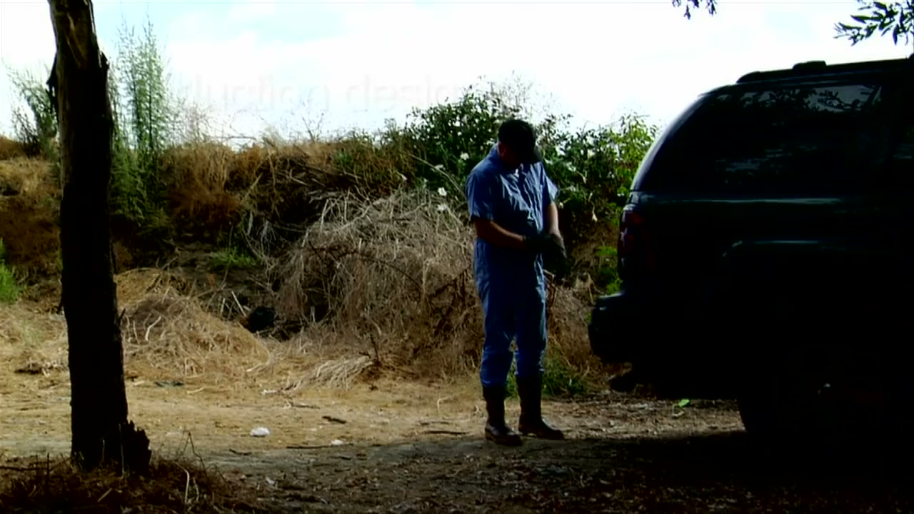 The Cellar Door screenshot 2