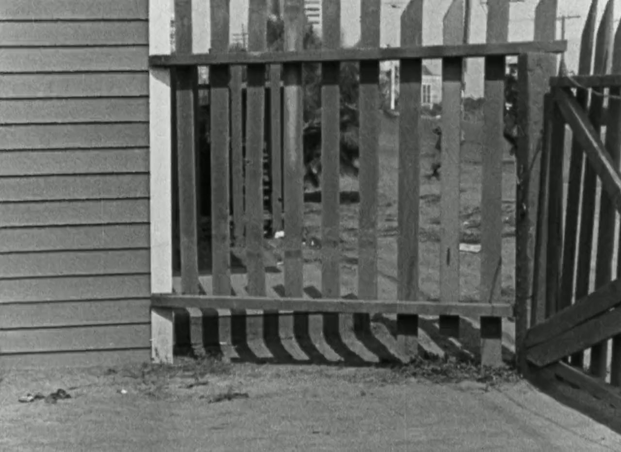 The Champeen screenshot 2