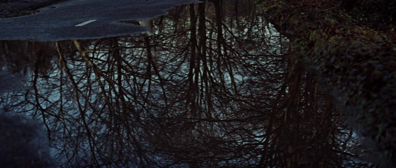 The Chase screenshot 2