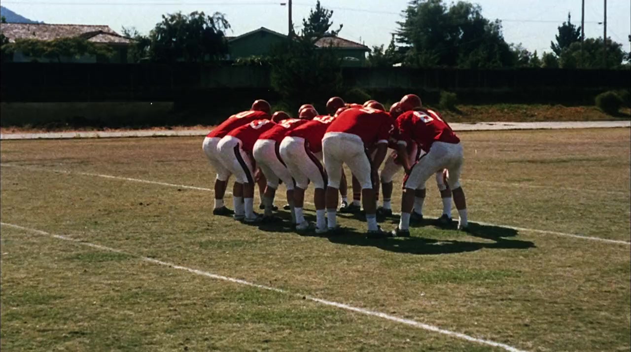 The Cheerleaders screenshot 1