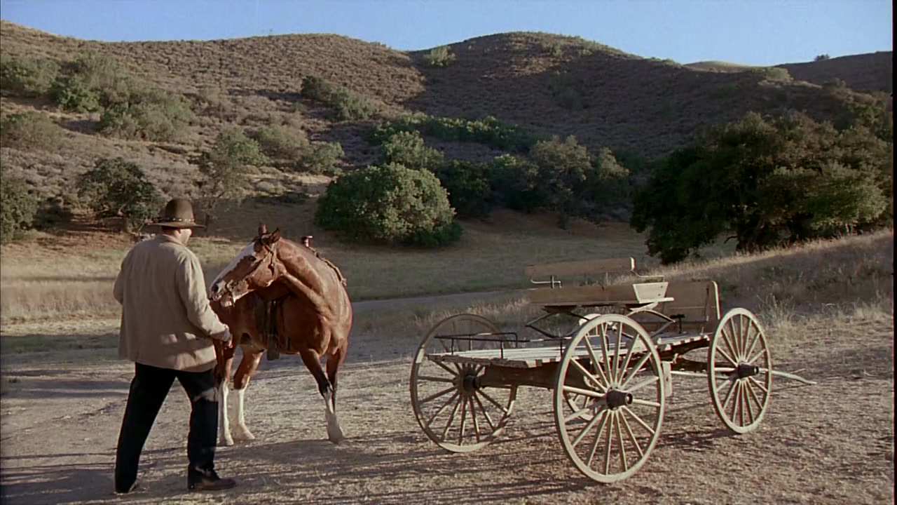 The Cherokee Kid screenshot 3