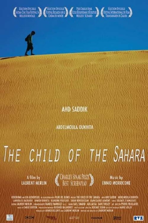 Le fils du désert (2013) poster