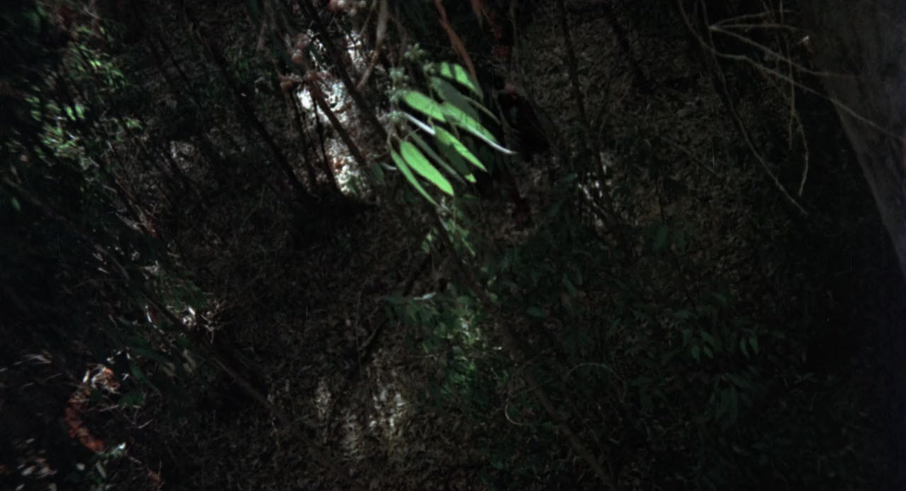 The Child screenshot 3