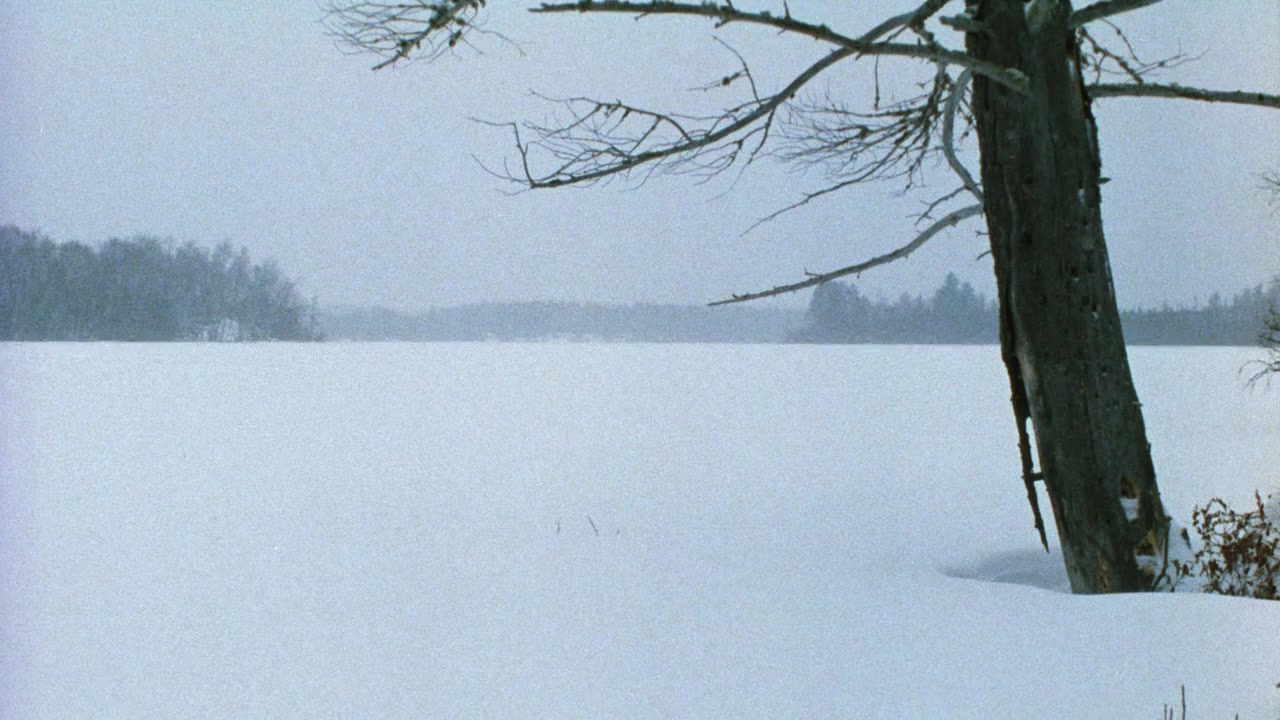 The Chill Factor screenshot 2