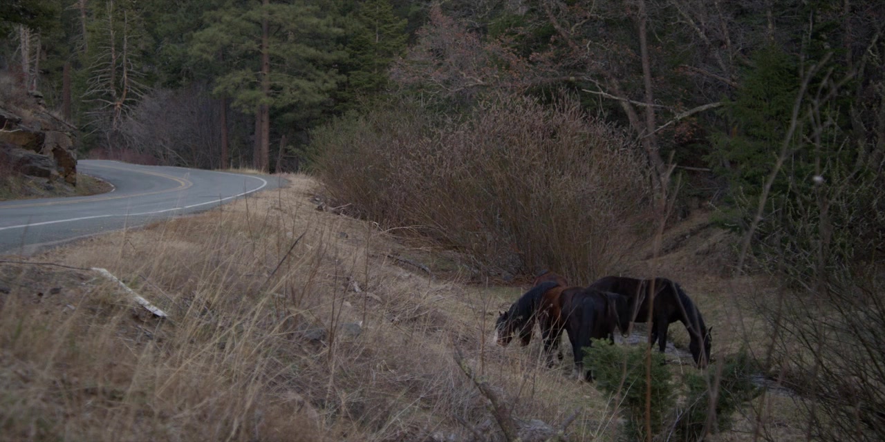 The Christmas Classic screenshot 1
