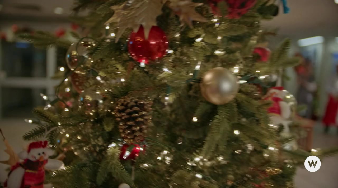 The Christmas Doctor screenshot 3
