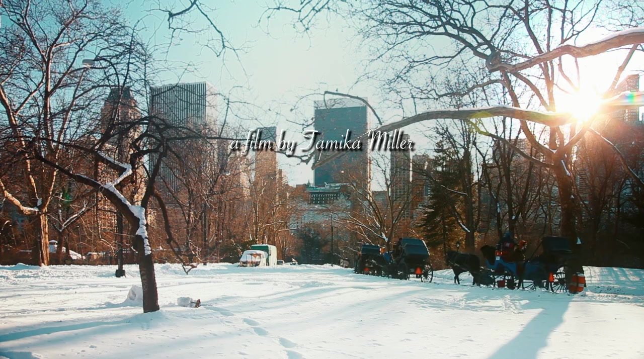 The Christmas Lottery screenshot 1