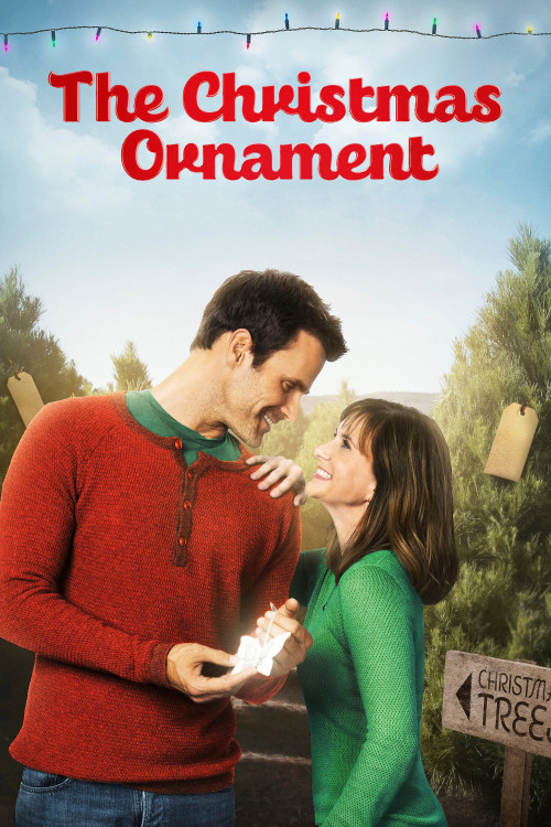 The Christmas Ornament (2013) poster