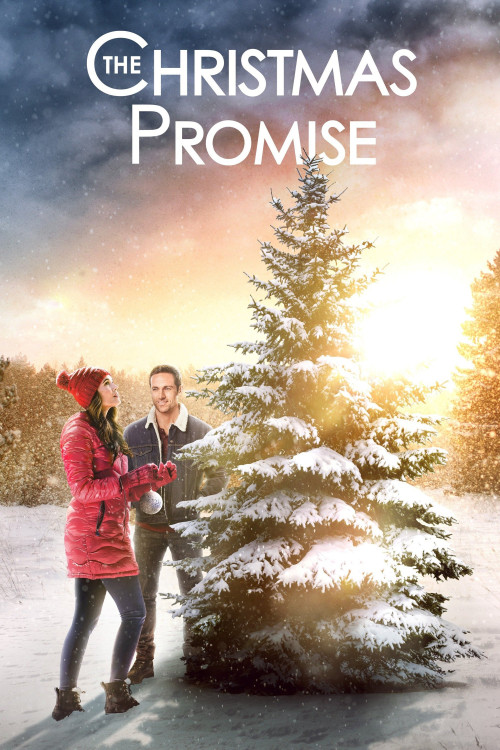 The Christmas Promise (2021) poster