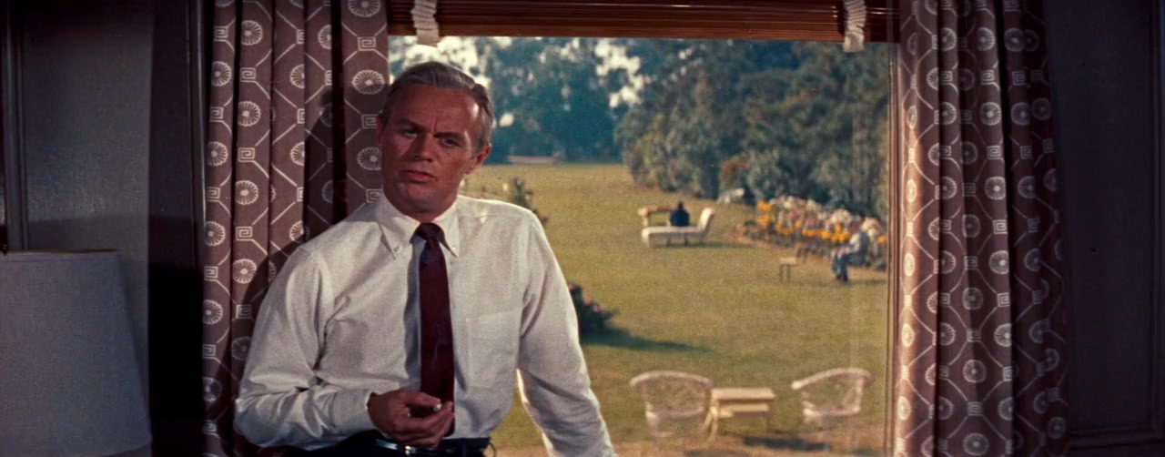 The Cobweb screenshot 3