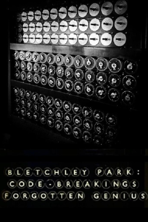 Bletchley Park: Code-Breaking's Forgotten Genius (2015) poster