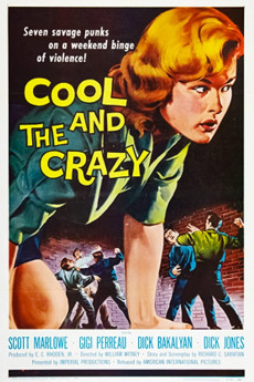 The Cool and the Crazy (1958) poster