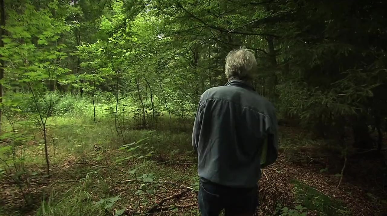 The Coolest Guy Movie Ever: Return to the Scene of The Great Escape screenshot 2