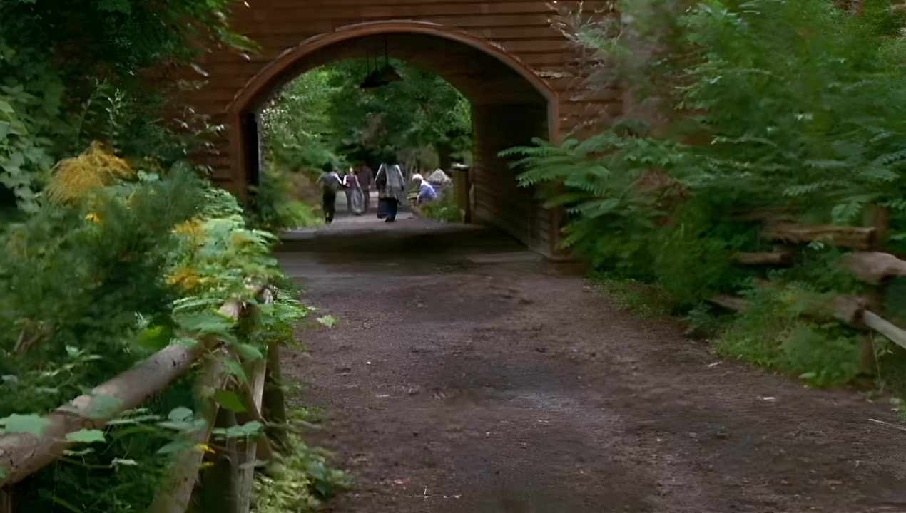 The Color of Friendship screenshot 2