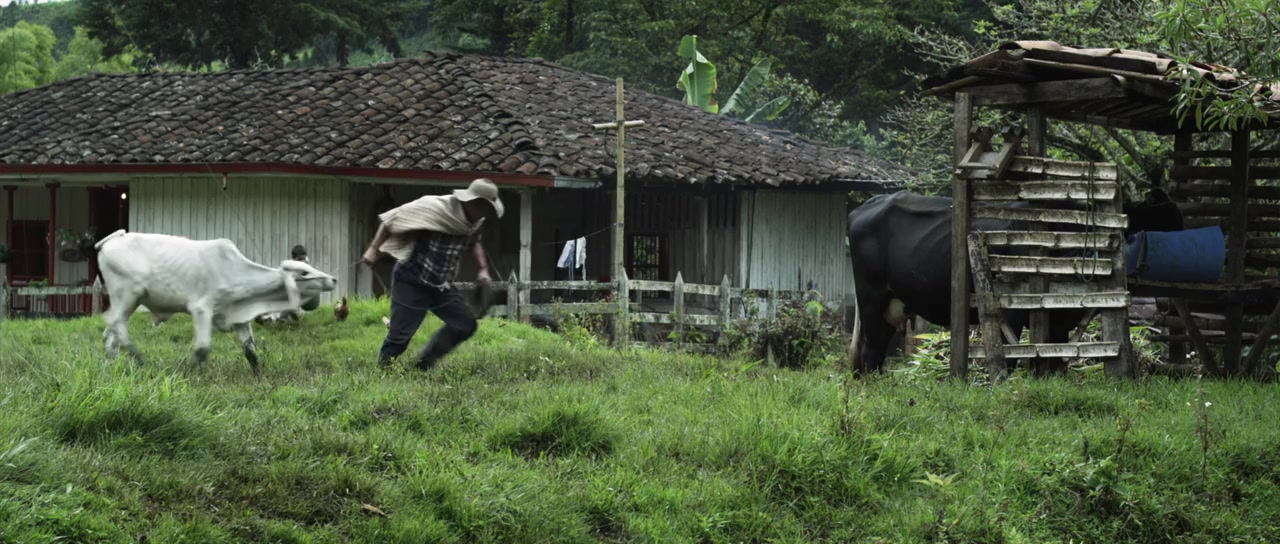Los colores de la montaña screenshot 2
