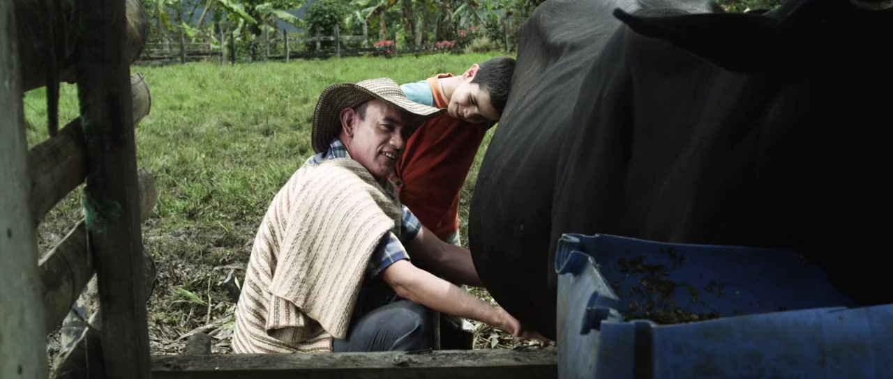 Los colores de la montaña screenshot 3