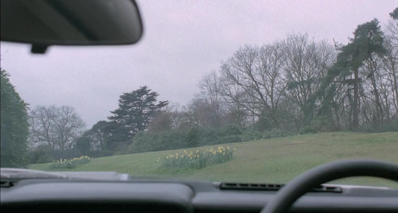 The Comeback screenshot 2