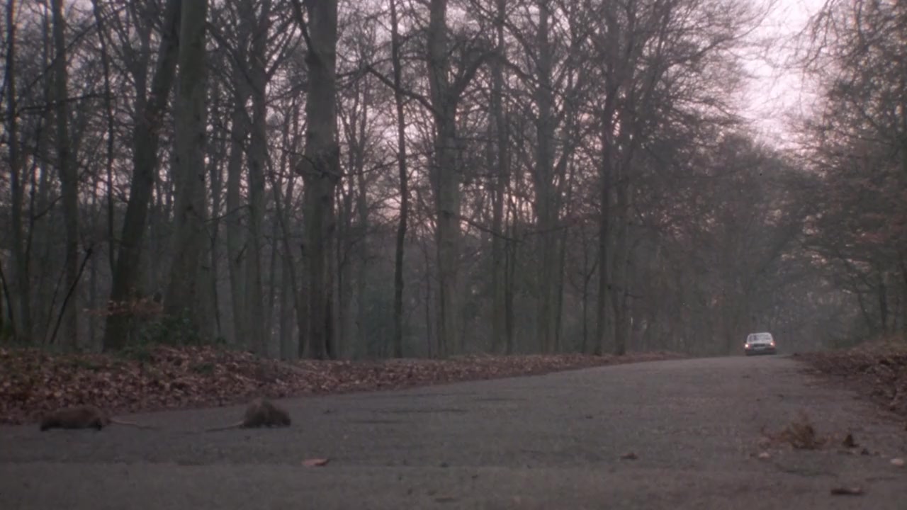 The Company of Wolves screenshot 3