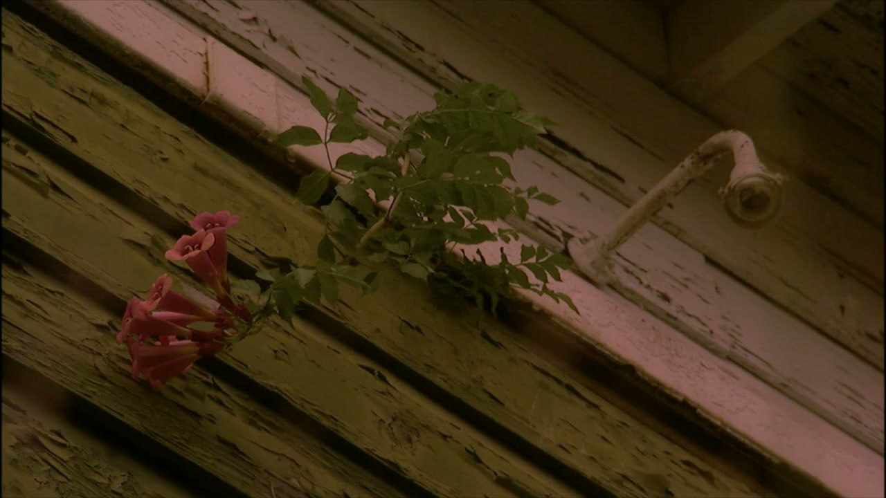 The Conscientious Objector screenshot 3