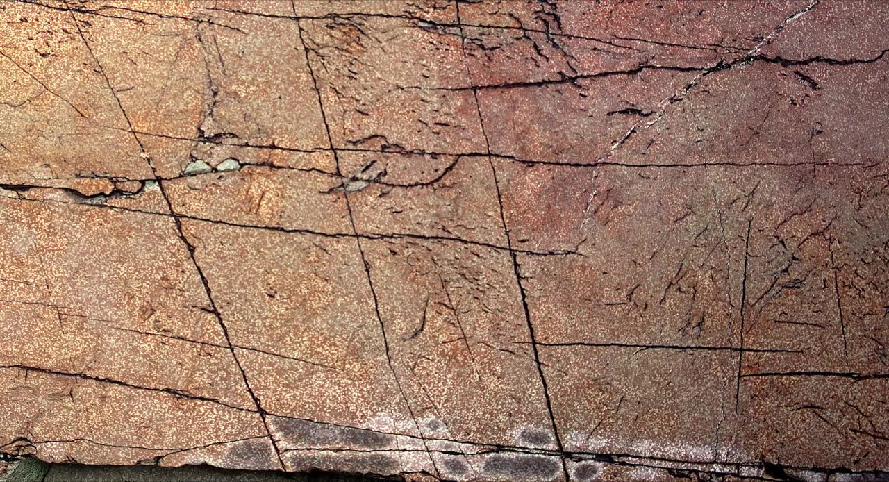 La cordillère des songes screenshot 1