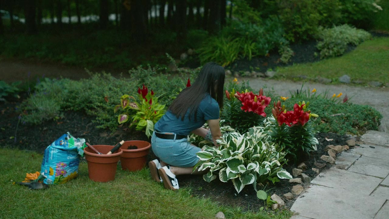 The Couple Across the Street screenshot 1