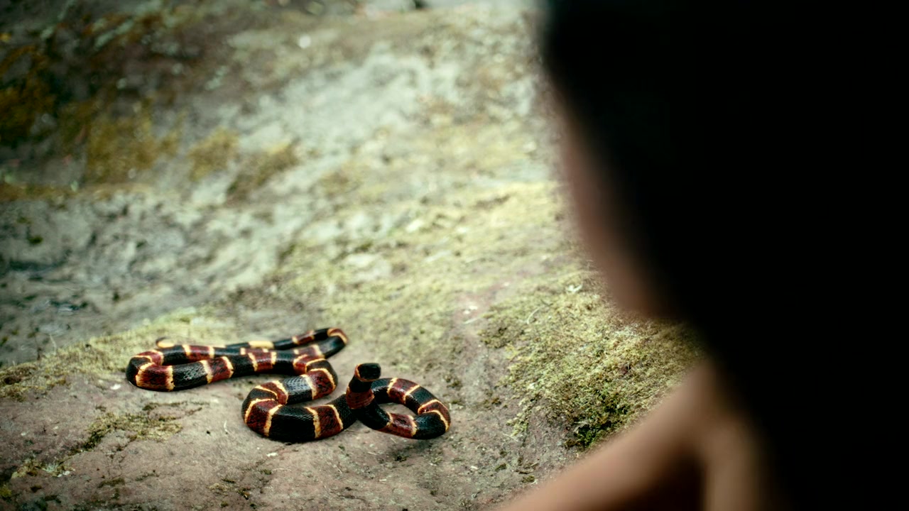 The Covenant screenshot 3