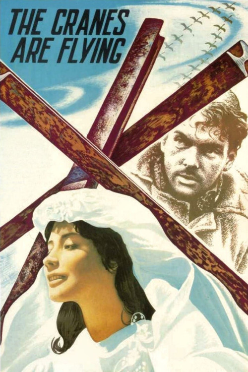 Letyat zhuravli (1957) poster