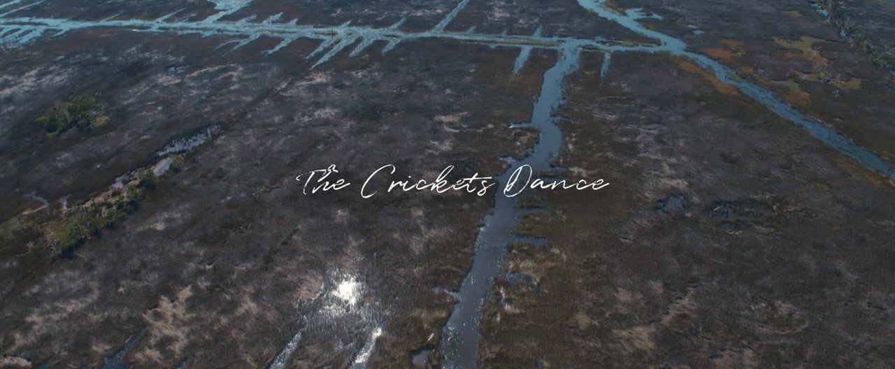 The Crickets Dance screenshot 2