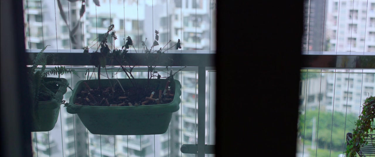 Guo chun tian screenshot 3